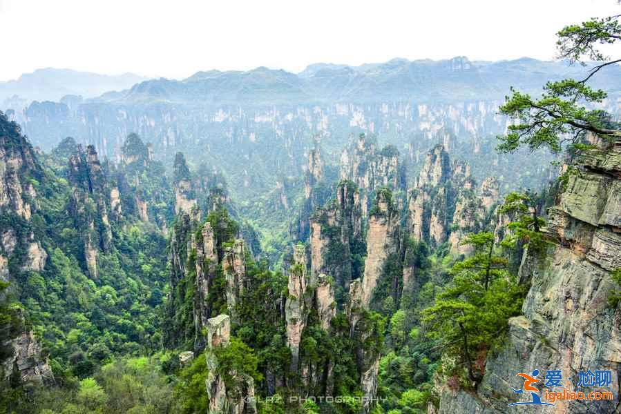 張家界必游景點(diǎn)有哪些？張家界必游景點(diǎn)TOP10？