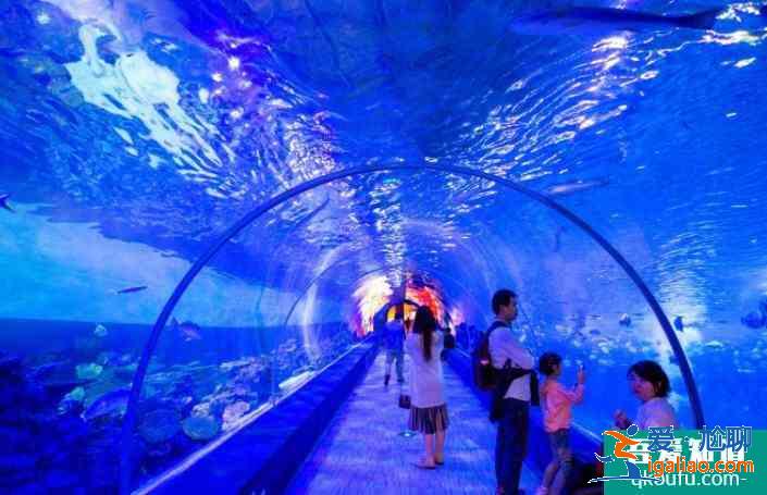 2022重慶漢海海洋公園元旦表演時(shí)間表及門票價(jià)格？