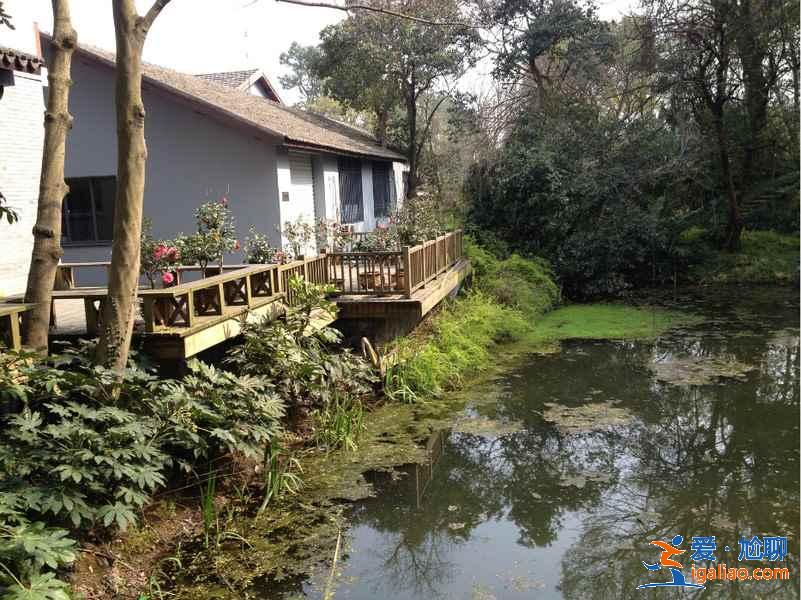 杭州植物園有哪些景點(diǎn)?杭州植物園游玩攻略? 杭州植物園有哪些景點(diǎn)?杭州植物園游玩攻略?