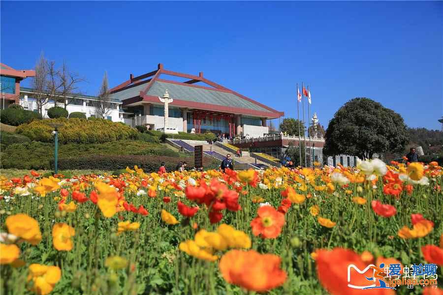 昆明世界園藝博覽園好玩嗎？昆明世界園藝博覽園值得去嗎？昆明世界園藝博覽園景區(qū)攻略？