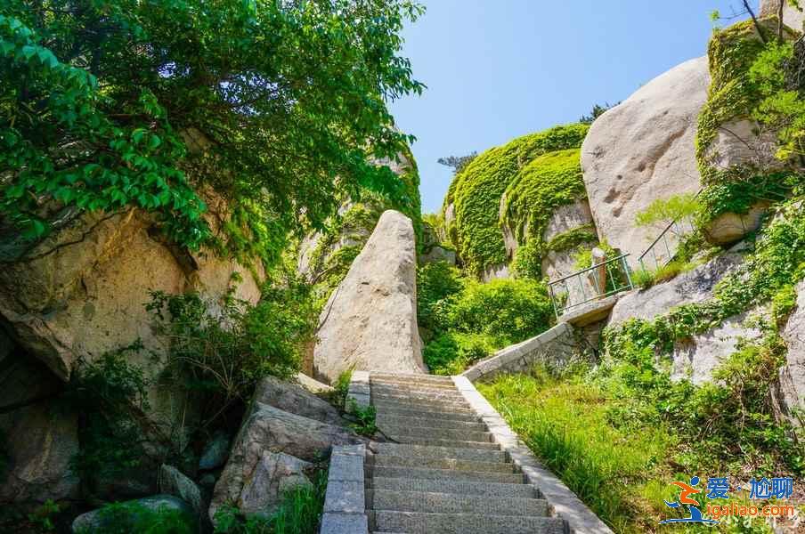 青島春季賞花有什么推薦，青島春季都有哪些花，青島最佳賞花地推薦？