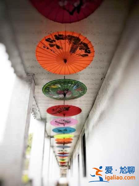 婺源有什么特產(chǎn)，去婺源旅游買什么，江西婺源特產(chǎn)盤點？