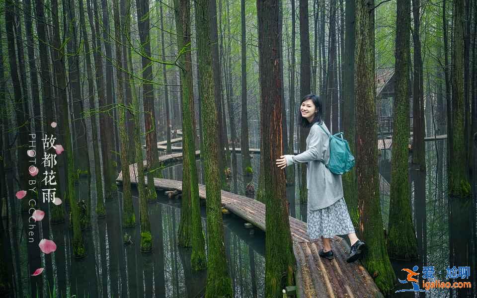 不敢相信，南京踏青居然這么美！南京清明節(jié)踏青8大好去處？