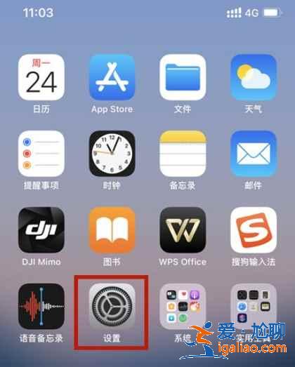 蘋果怎么設(shè)置按鍵調(diào)手機音量？