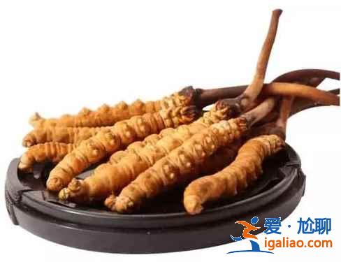 西寧特產(chǎn)有哪些，西寧必買特產(chǎn)有哪些，西寧特產(chǎn)攻略？