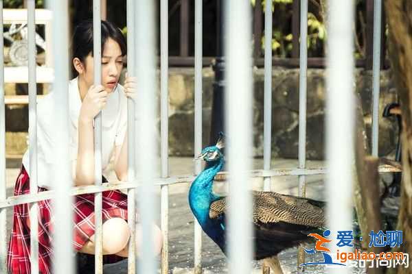 《你的孩子》女高中生吃蟲子是真的？
