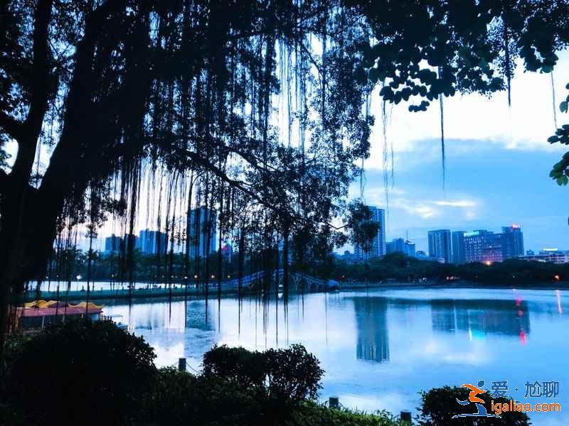 去“中國綠城”南寧，來一趟“凈肺”之旅？
