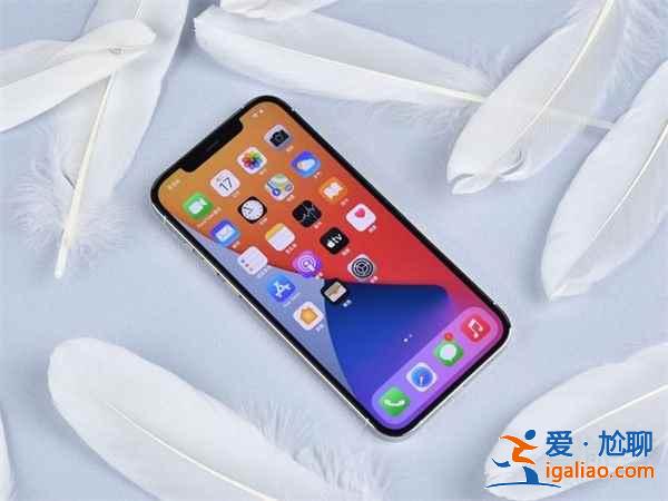 iphone12 pro max手機(jī)大嗎？