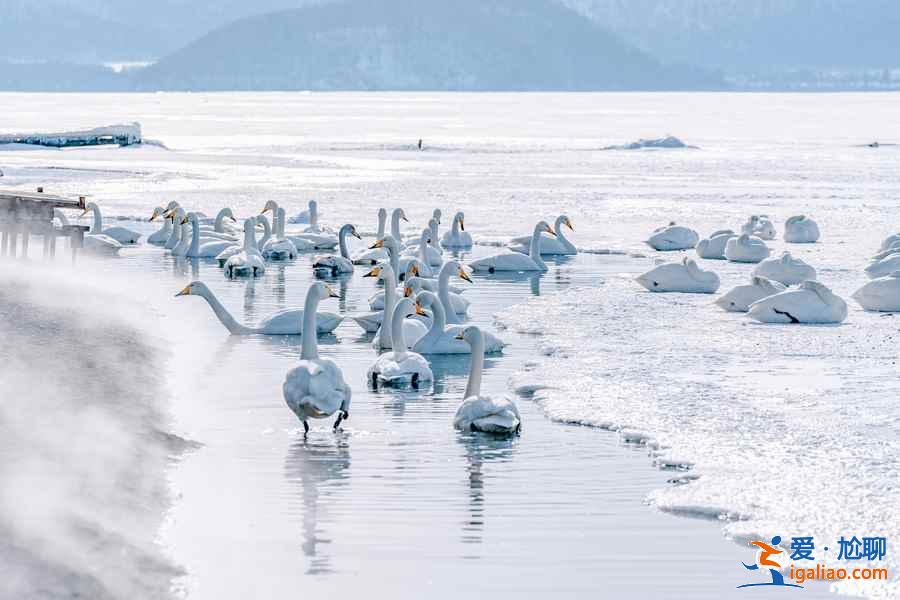 北海道有哪些小眾景點(diǎn)？北海道小眾景點(diǎn)推薦，北海道小眾景點(diǎn)盤點(diǎn)？