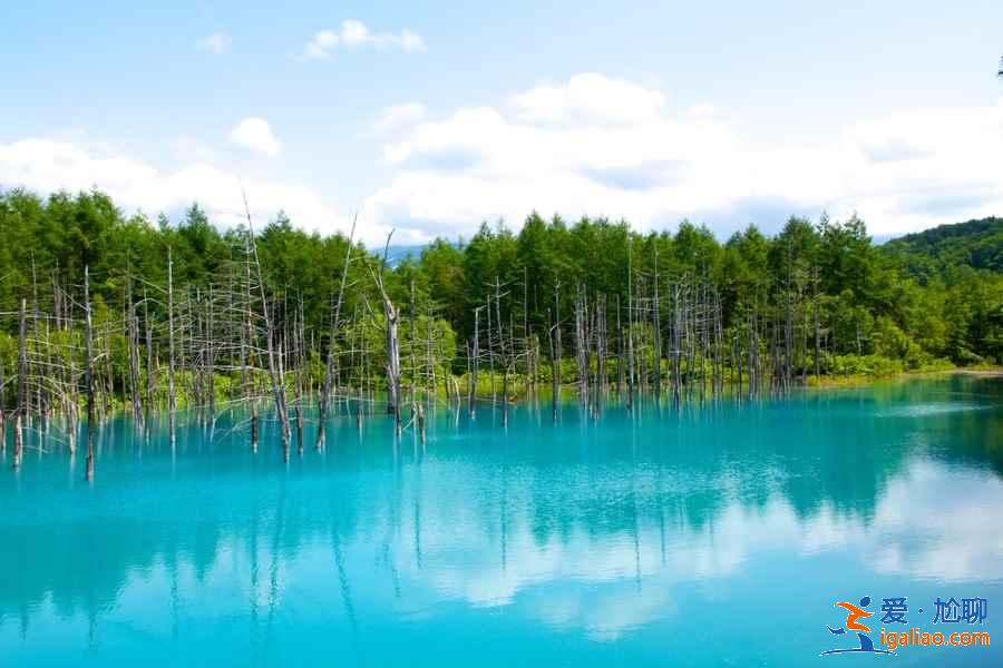 北海道有哪些小眾景點(diǎn)？北海道小眾景點(diǎn)推薦，北海道小眾景點(diǎn)盤點(diǎn)？