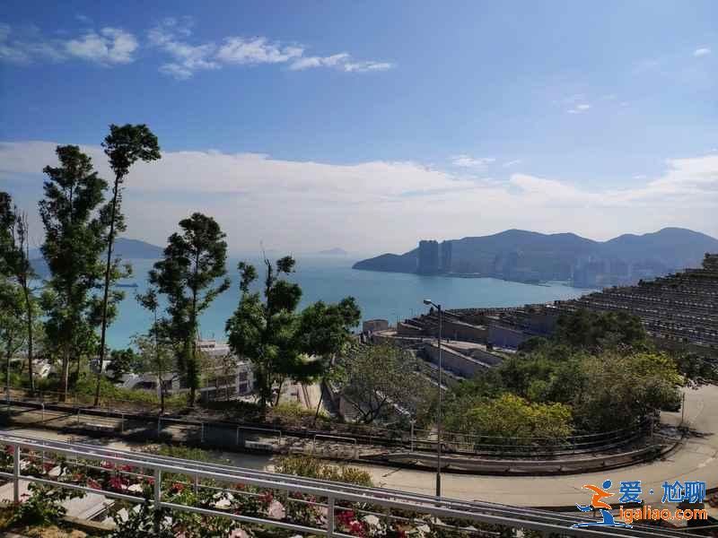 香港3月賞櫻去哪兒好？香港3月賞櫻5大推薦地，香港3月賞櫻攻略？