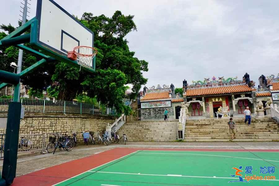 香港3月賞櫻去哪兒好？香港3月賞櫻5大推薦地，香港3月賞櫻攻略？