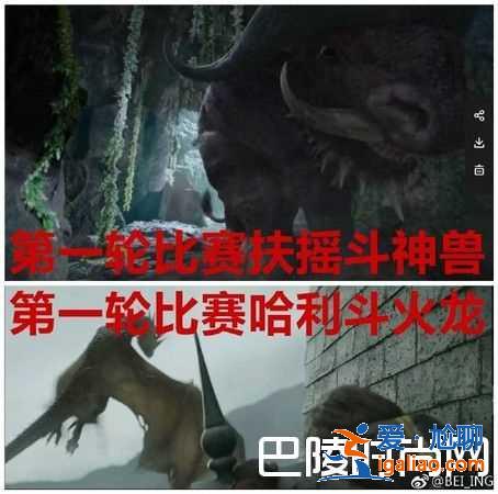 《扶搖》爆抄襲哈利波特 網(wǎng)爆8大相同點？