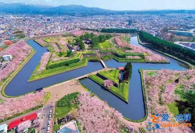 北海道櫻花多久開？北海道哪里能賞櫻？北海道賞櫻好去處推薦？
