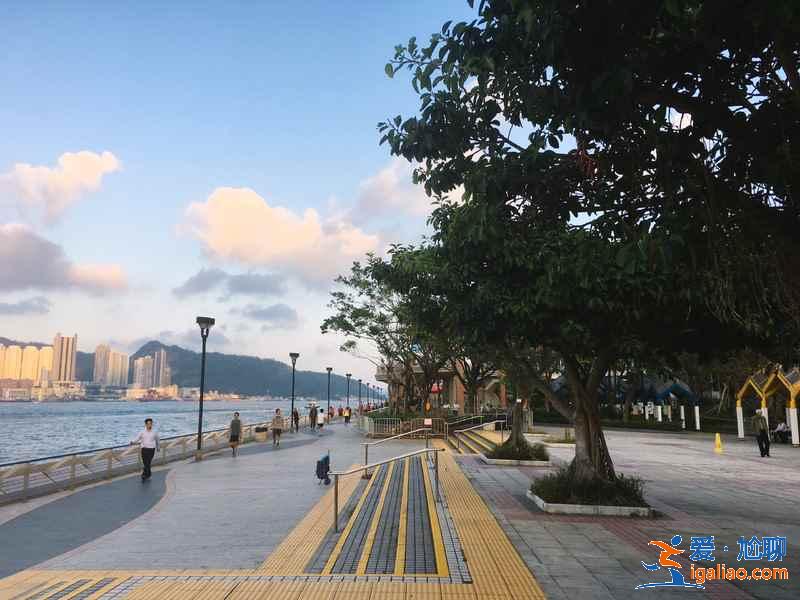 香港3月賞櫻去哪兒好？香港3月賞櫻5大推薦地，香港3月賞櫻攻略？