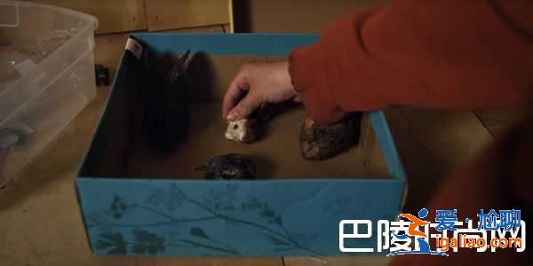 《宿怨》8個(gè)細(xì)節(jié)注意到嗎？彩蛋伏筆揭秘？
