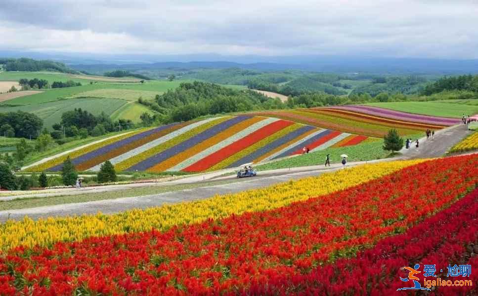 北海道星野度假村春夏值得去嗎？北海道星野度假村春夏活動推薦？