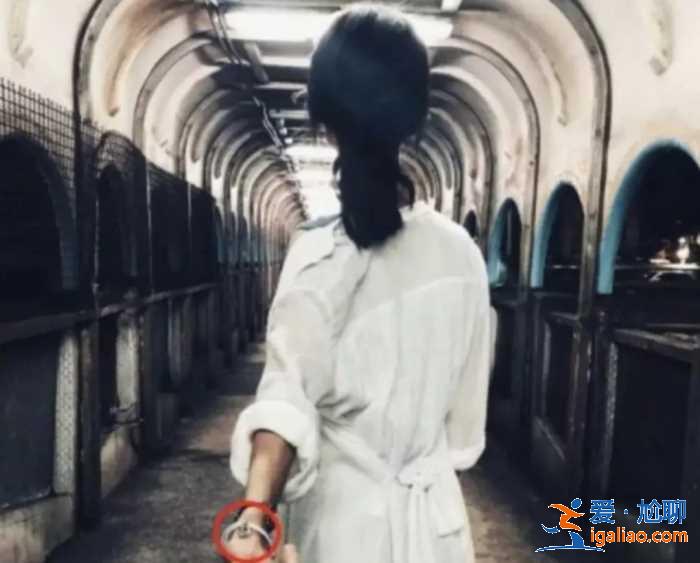 她才是娛樂(lè)圈真正的手段王！