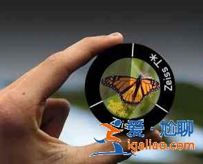 vivox60曲屏版拍照好看嗎？