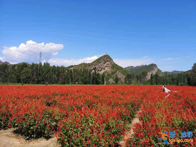 北京周邊好玩的地方有哪些，北京周邊游推薦，北京周邊游攻略？