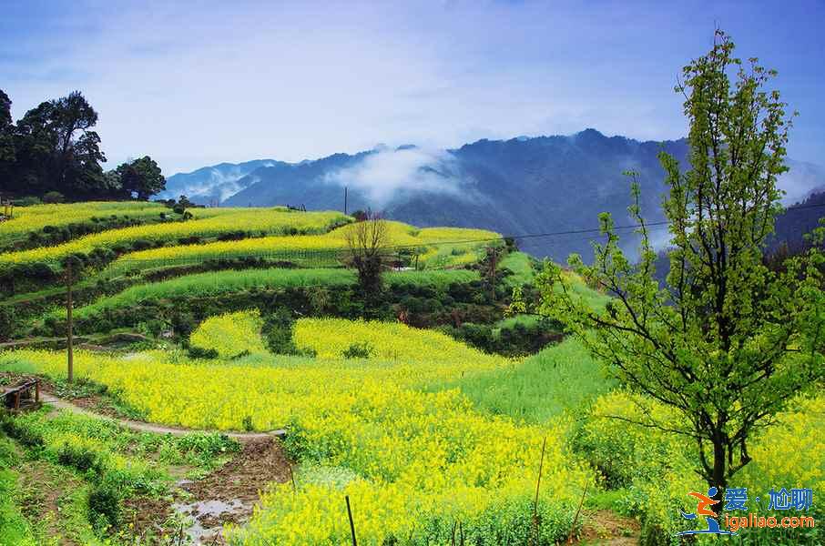 4月去婺源穿什么衣服，婺源4月當(dāng)?shù)貧鉁?，婺?月游玩穿衣指南？