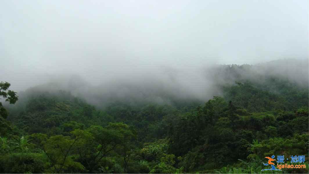 深圳去茂名怎么玩，深圳周末去茂名好玩嗎，深圳出發(fā)茂名旅游攻略？