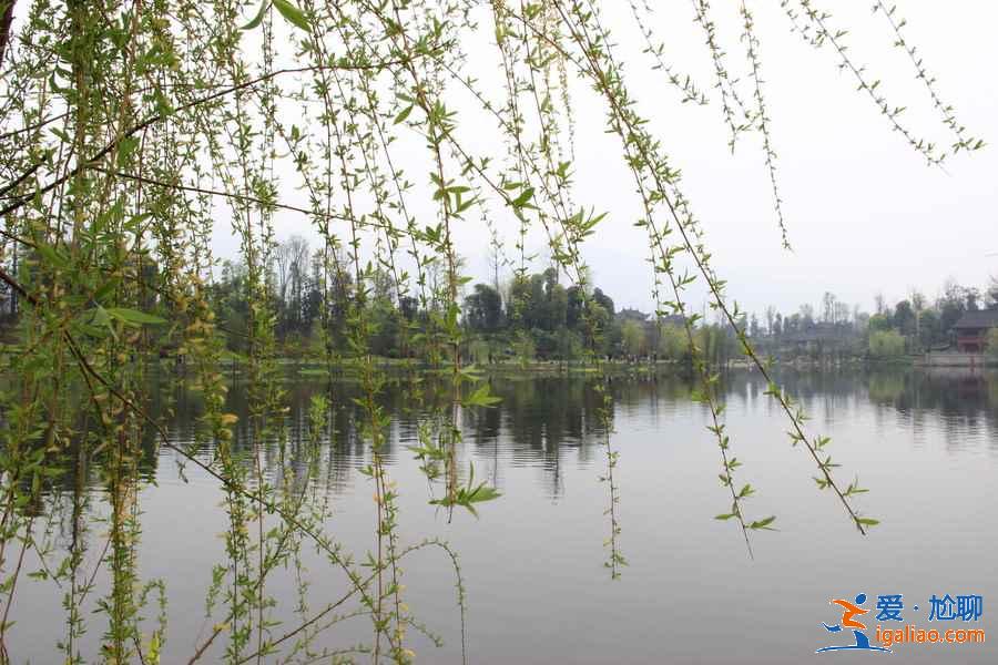 重慶周末踏青好去處，重慶周末踏青推薦，重慶周末踏青攻略？