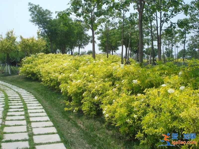 天津踏青好去處，天津踏青游玩推薦，天津踏青攻略？