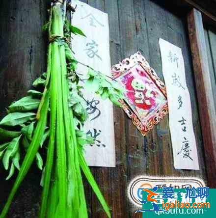 端午節(jié)手抄報上寫什么？？