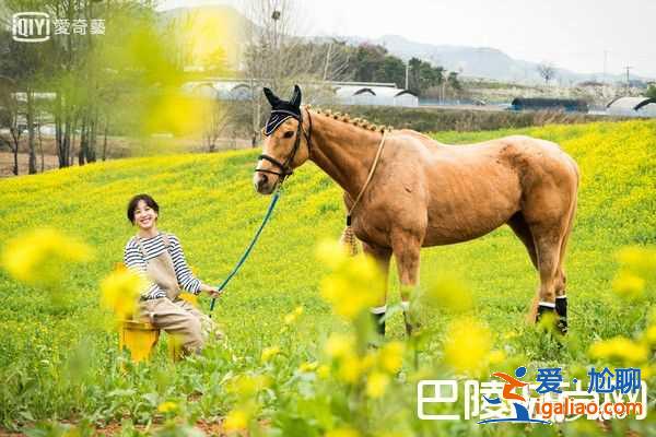 《油膩的Melo》鄭麗媛婚紗超美 油膩的浪漫好看嗎？？
