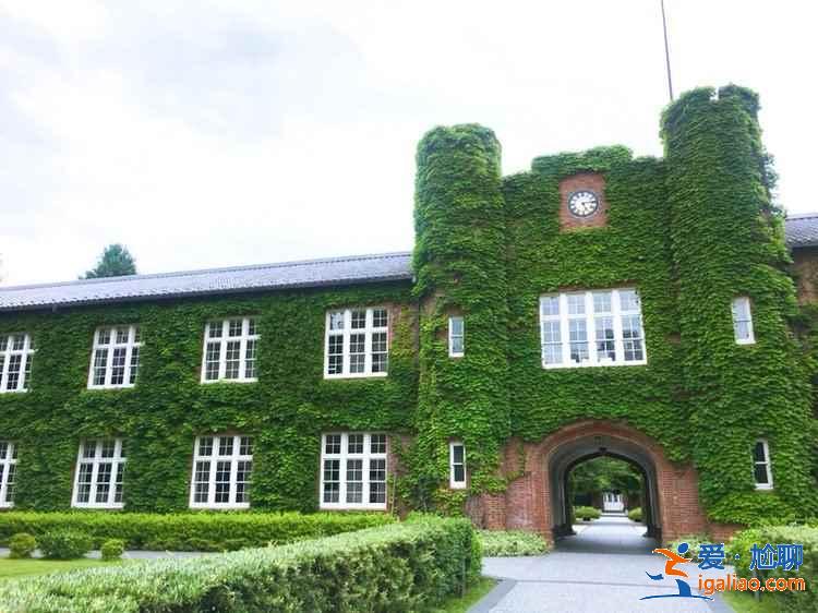 東京最美的大學(xué)在哪里，東京最美高校是哪所，東京最美大學(xué)攻略？