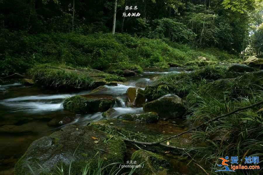 張家界適合踏青的地方，張家界踏青景點(diǎn)推薦，張家界踏青去哪好？