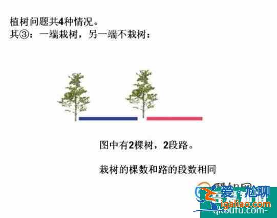 怎樣更直觀的理解數(shù)學(xué)里的植樹問題？