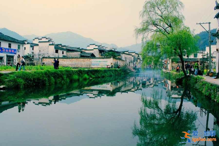 婺源親子游去哪玩，婺源親子游景點推薦，婺源帶娃去哪里好玩？