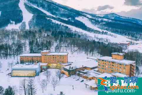 冬天北海道有哪些玩法呢 這些地方很多人去？
