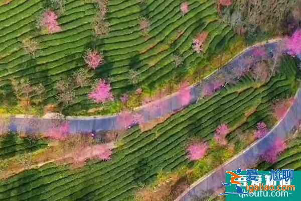 冬天去哪里旅游好玩 冬天旅游景點(diǎn)推薦？