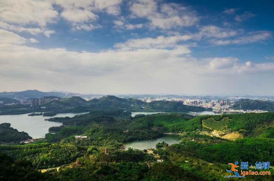 深圳梧桐山怎么玩，深圳梧桐山游玩路線，深圳梧桐山游玩攻略？