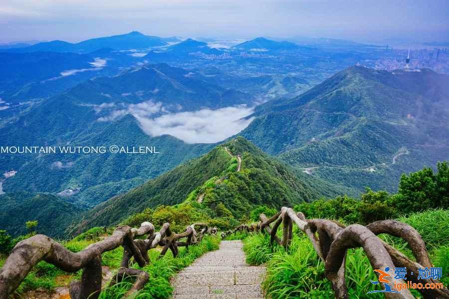 深圳梧桐山怎么玩，深圳梧桐山游玩路線，深圳梧桐山游玩攻略？