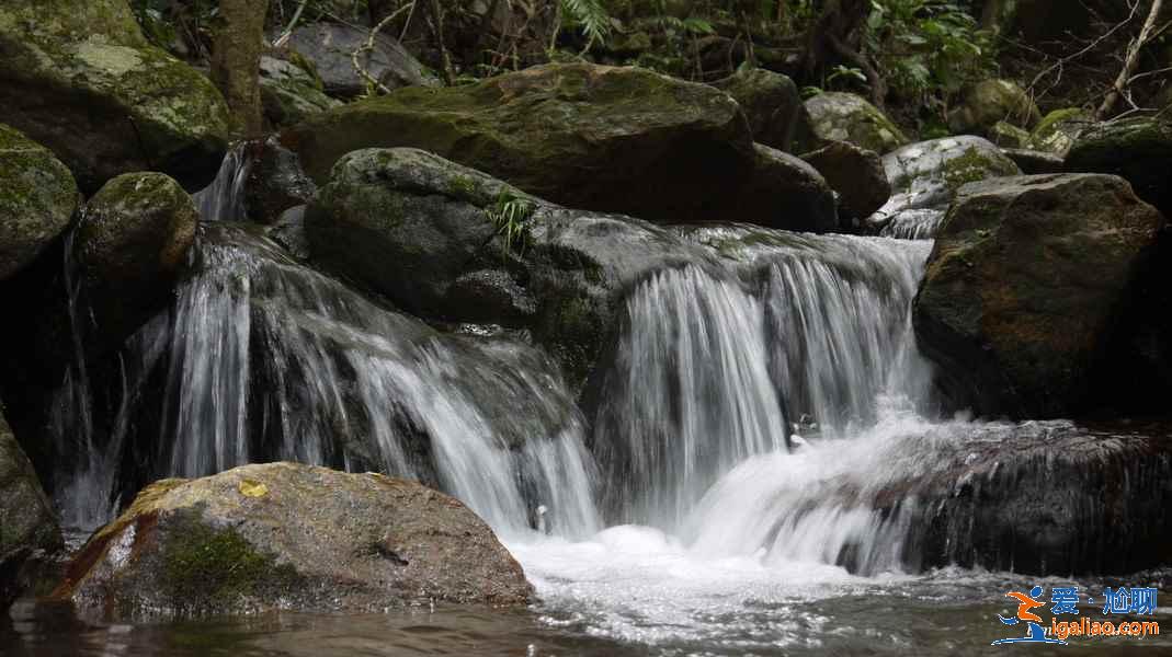 深圳梧桐山怎么玩，深圳梧桐山游玩路線，深圳梧桐山游玩攻略？