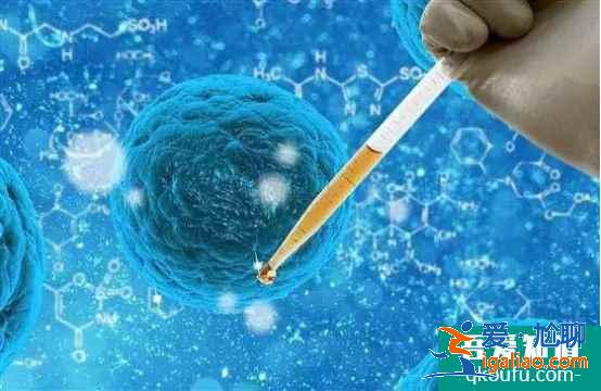 試管胚胎碎片能預(yù)防和降低嗎？？