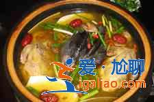雞湯怎么燉？