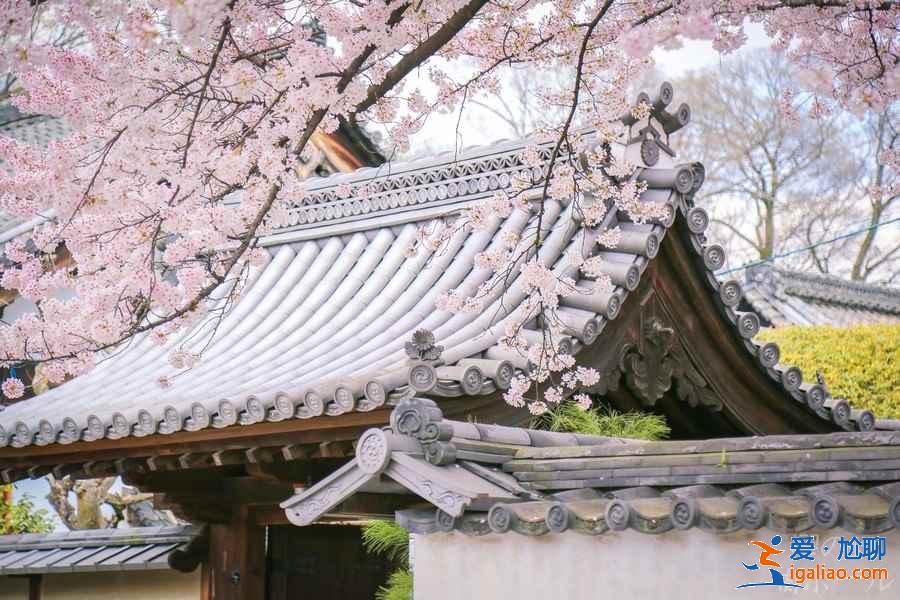 京都賞櫻人少的地方有哪些？京都賞櫻小眾景點(diǎn)推薦？