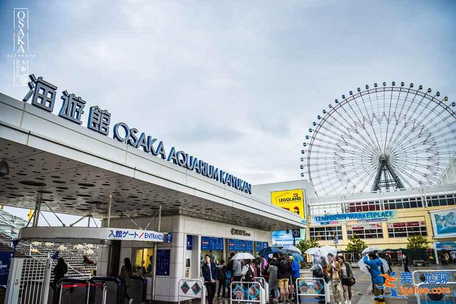 日本大阪一日游攻略，大阪一日游怎么玩，大阪一日游去哪里好？