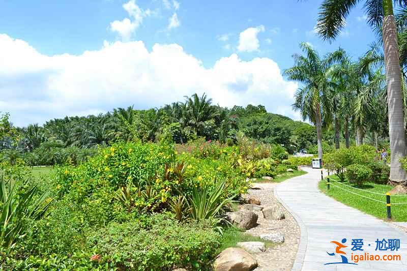 深圳約會好去處，深圳哪些地方適合情侶，深圳情侶游約會圣地？