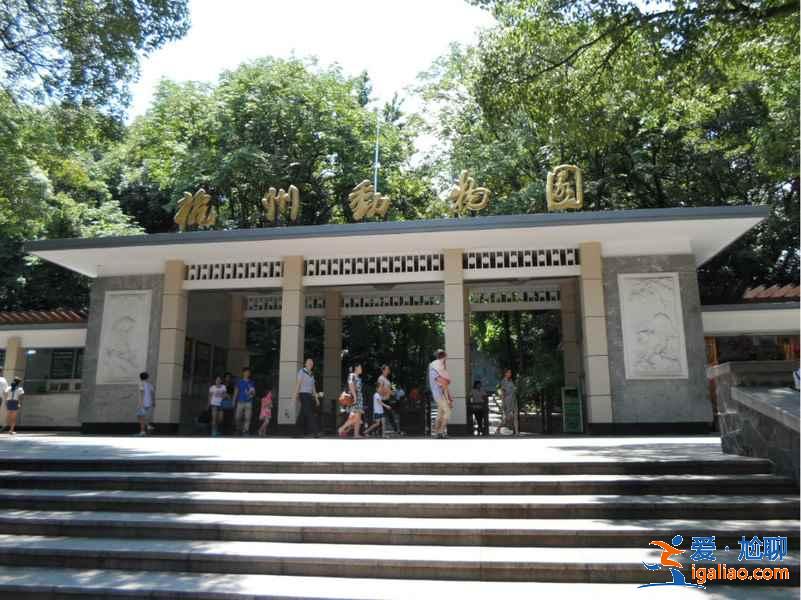杭州適合小朋友玩的地方，杭州親子游好去處，杭州親子游攻略？