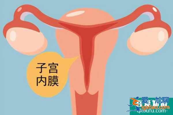 雌激素比較高赴美做試管嬰兒，提高成功率的方法有哪些？？