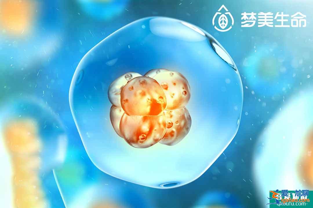 求子路遇到這三只“攔路虎”，試管嬰兒技術(shù)助你輕松解決??？