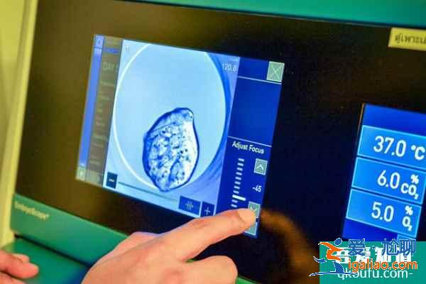 赴美做試管嬰兒如何獲得健康囊胚？專家：關鍵在這三步？