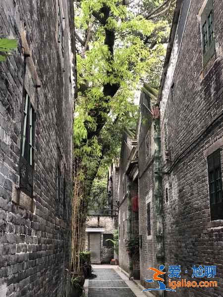 細(xì)數(shù)廣州那些景美人少的小眾景點(diǎn)，廣州小眾景點(diǎn)有哪些值得去？