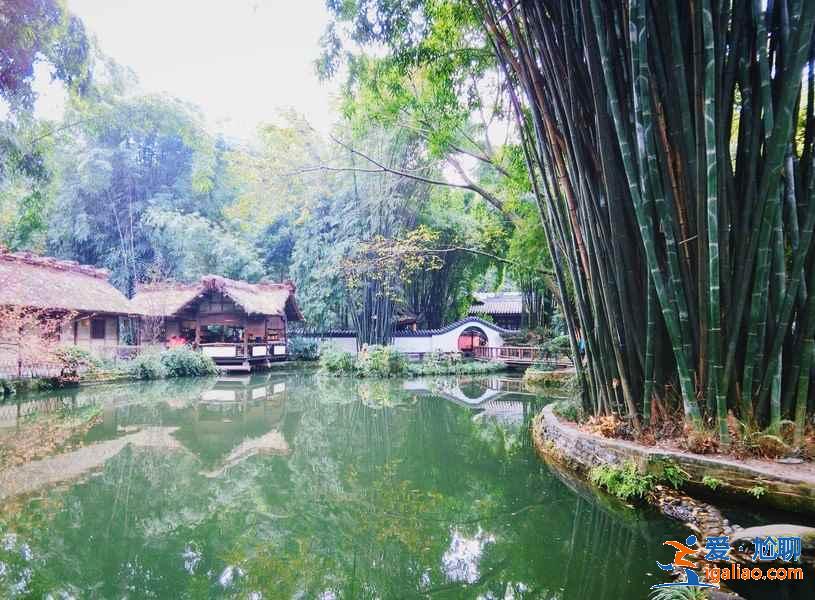 成都三日游路線，成都三日游攻略，成都三日游景點(diǎn)？